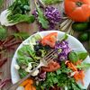 Patru săptămâni fără carne și lactate: experimentul care i-a surprins pe cercetători. Cum influențează dieta vegană markerii inflamatori
