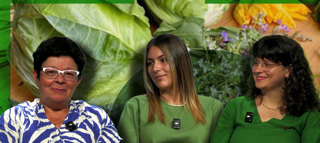 VIDEO/ Agricultura în schimbare/Cum funcționează ferma socială Bio&Co/ Andreea Despa, inginer horticol: ”Ferma comercializează produsele direct către clienți, prin două tipuri de coșuri. Coșul single costă 100 de lei și coșul family, 128 de lei”