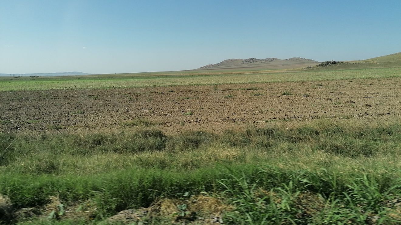 Bani pentru agricultura din județul Tulcea: 2.395 de fermieri unici au depus cerere pentru a fi sprijiniți prin Măsura 21