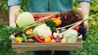 6 legume care cresc rapid în mai puțin de 60 de zile / Ce poți planta în septembrie pentru o ultimă recoltă de toamnă
