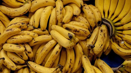 Aproape 800 de kilograme de cocaină, ascunse într-un transport de banane, confiscate în Italia / Drogurile valorează aproximativ 250 de milioane de euro
