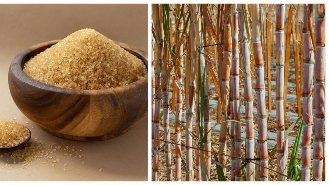 Este zahărul brut din trestie de zahăr mai bun decât cel alb? Un nutritionist și un medic explică ce conține acest tip de zahăr și dacă ne crește sau nu glicemia