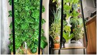 VIDEO | Sistemul de cultivare verticală în interior pe care să-l pui în bucătărie. Poate include 30 de tipuri de plante în același timp