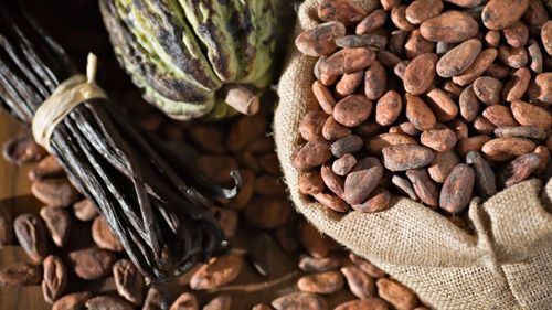 Preţul boabelor de cacao se prăbuşeşte la minimul ultimelor 20 de luni / Băncile de investiţii avertizează asupra unei vânzări ”extreme”