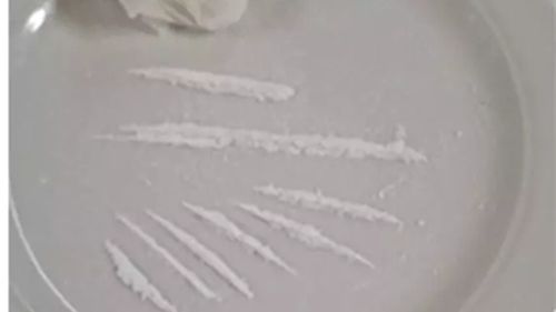 Liniuțe de cocaină, în „meniul” unui restaurant italian / Câinele polițist Barak a depistat depozitul de droguri al chefului: cocaină, ecstasy și hașiș / Bucătarul a fost arestat