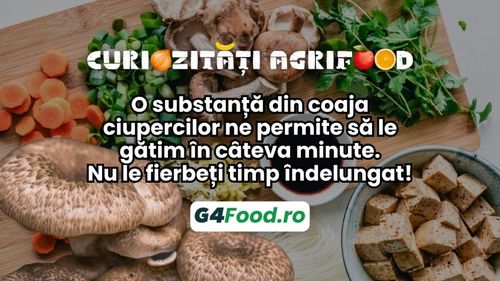 Curiozități agrifood - 13 septembrie: O substanță din coaja ciupercilor ne permite să le gătim în câteva minute. Nu le fierbeți timp îndelungat!