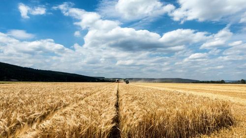 Ministrul Agriculturii anunță că Guvernul a aprobat suplimentarea bugetului de investiţii pentru agricultură cu 578 de milioane de lei