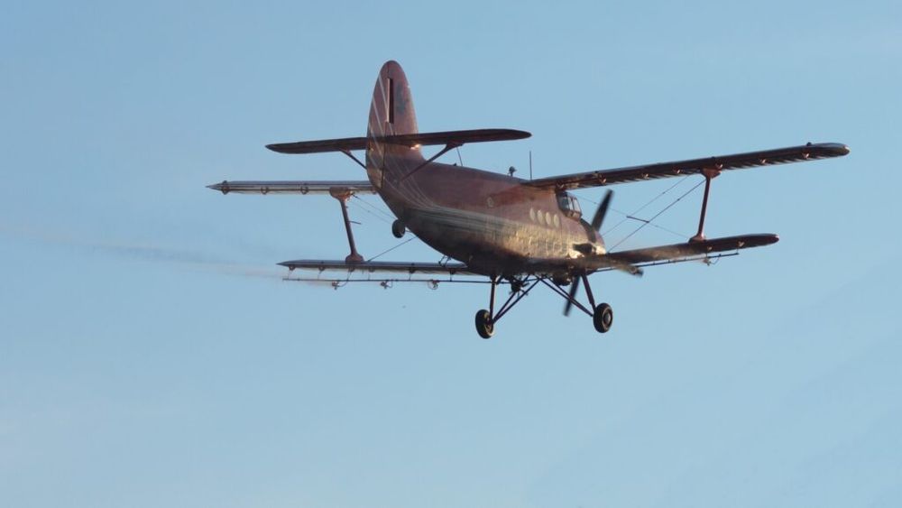 Primăria Municipiului Giurgiu informează apicultorii că va face dezinsecție din avion