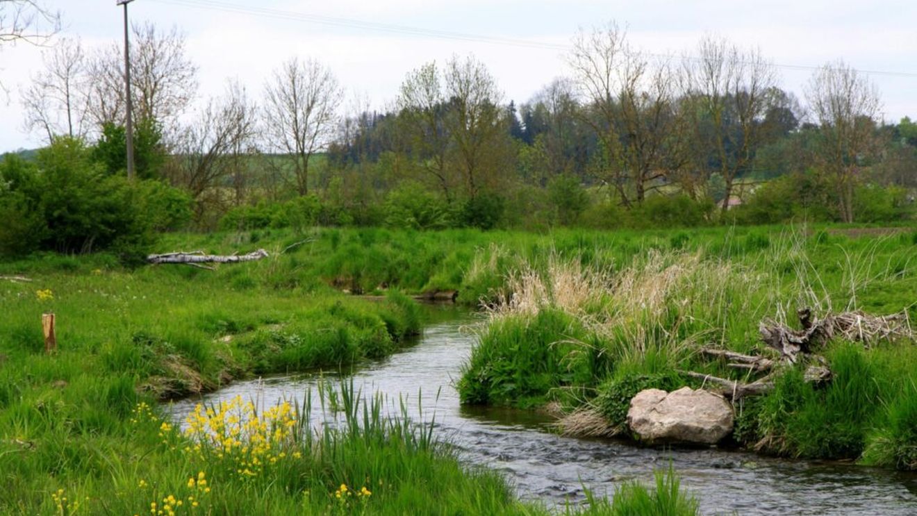 Patronul unei importante firme de panificaţie din Prahova, trimis în judecată pentru infracţiuni la Legea apelor/ Construia ilegal un baraj din beton deviind curgerea naturală a unui pârâu