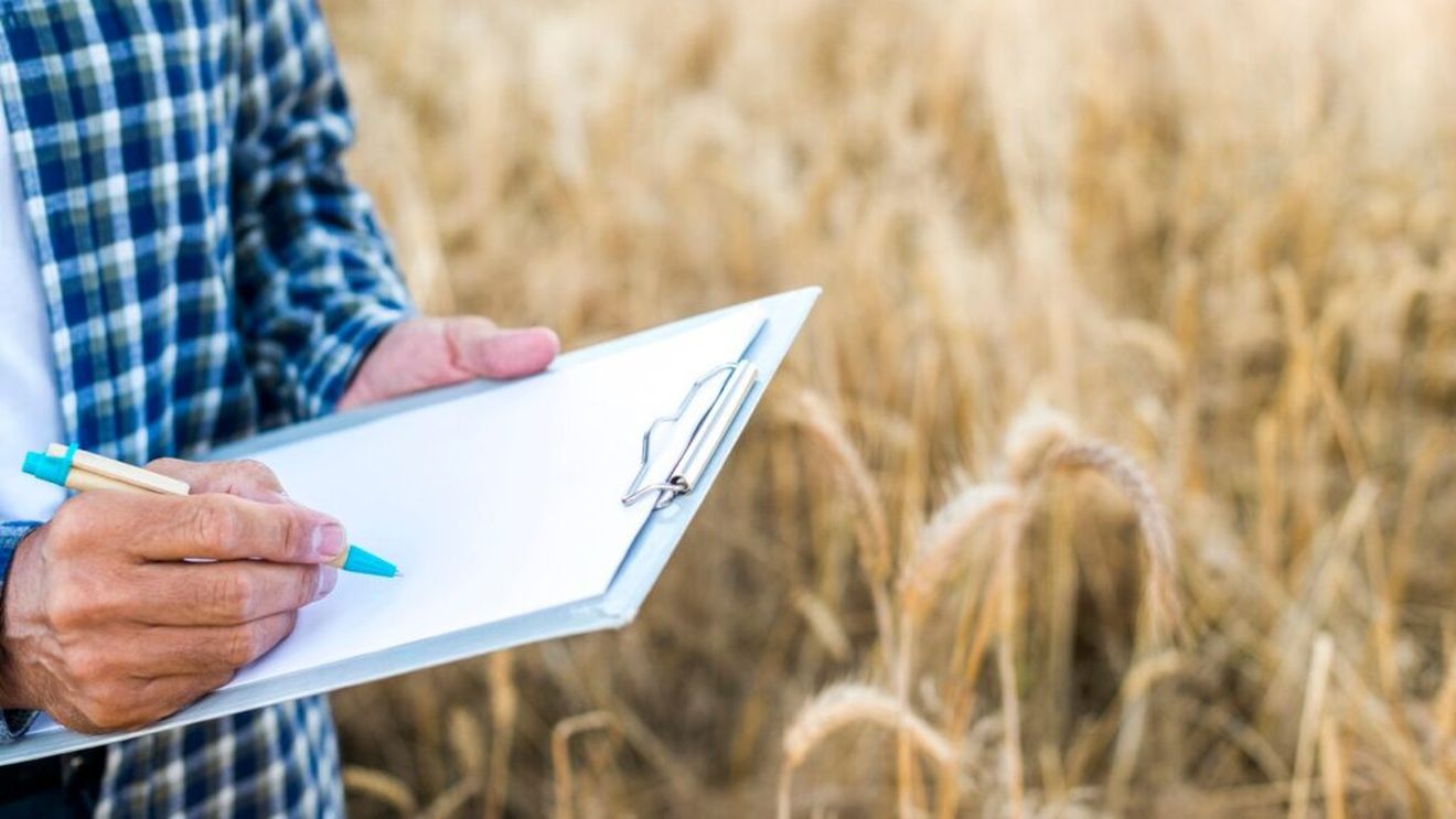 Barometru Eurostat: Prețurile agricole au crescut în primul trimestru al anului 2025