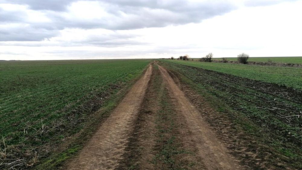 AFIR acordă fonduri nerambursabile de 57,7 milioane de euro pentru finanţarea infrastructurii rutiere agricole/ 59 proiecte selectate