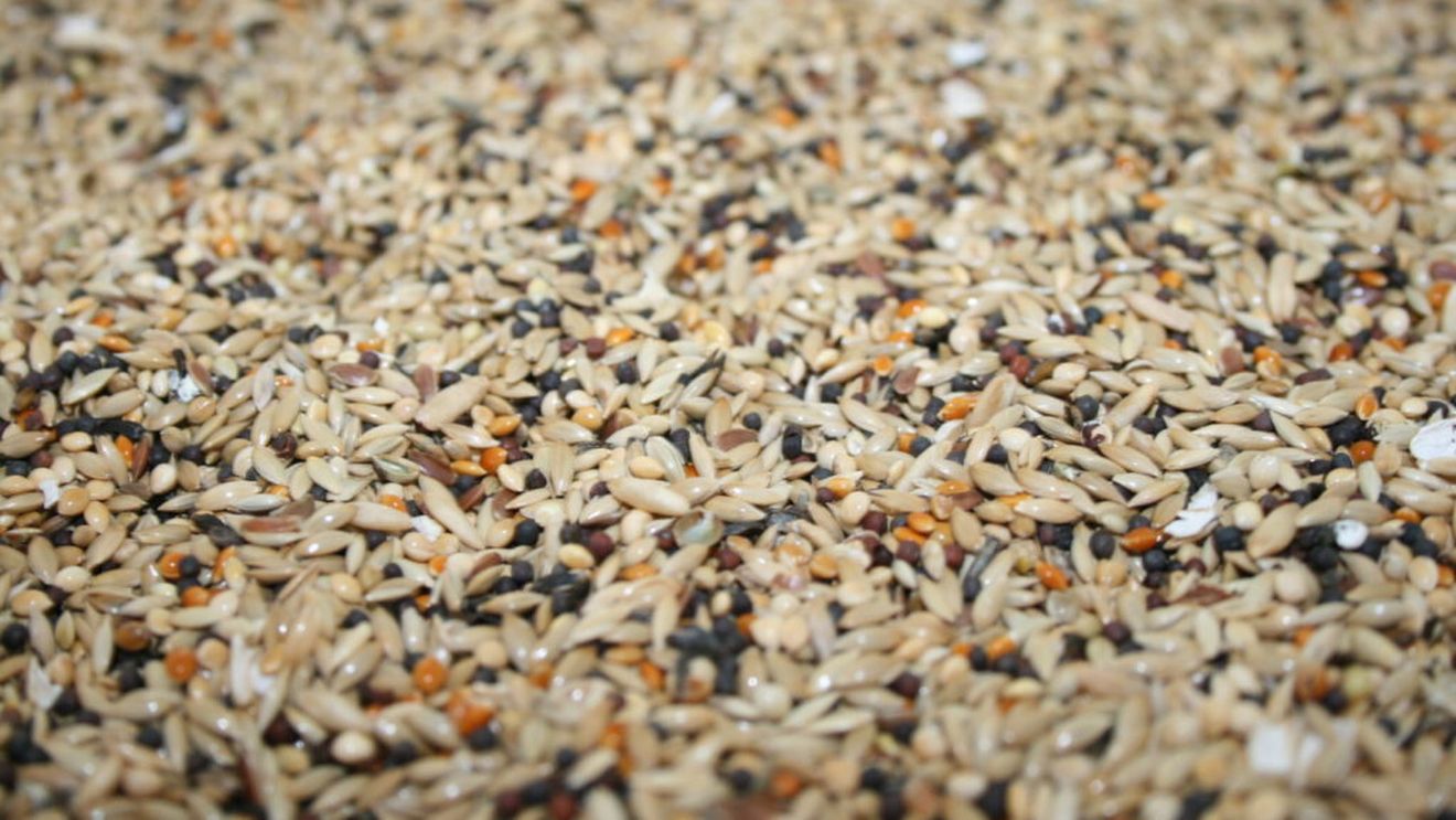 Agroland Agribusiness cumpără o platformă agro-industrială pentru semințe și cereale în Mehedinți, într-o tranzacție de 2 milioane de lei