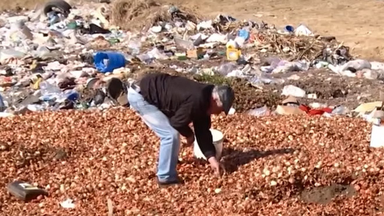 VIDEO | Tone de ceapă și alte legume, aruncate la gunoi. Localnicii recupereză ce se mai poate folosi: „Din magazin tot așa o iau”