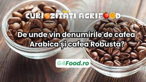 Curiozități agrifood: De unde vin denumirile de cafea Arabica și cafea Robusta?