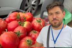 VIDEO | Între câmp și altar: duminica slujește la biserică, iar în timpul săptămânii culege roșii din grădină / Povestea preotului Alin Vraja, care cultivă legume în Botiz: „Fiecare an e provocator și parcă în fiecare an sunt tot mai multe provocări”