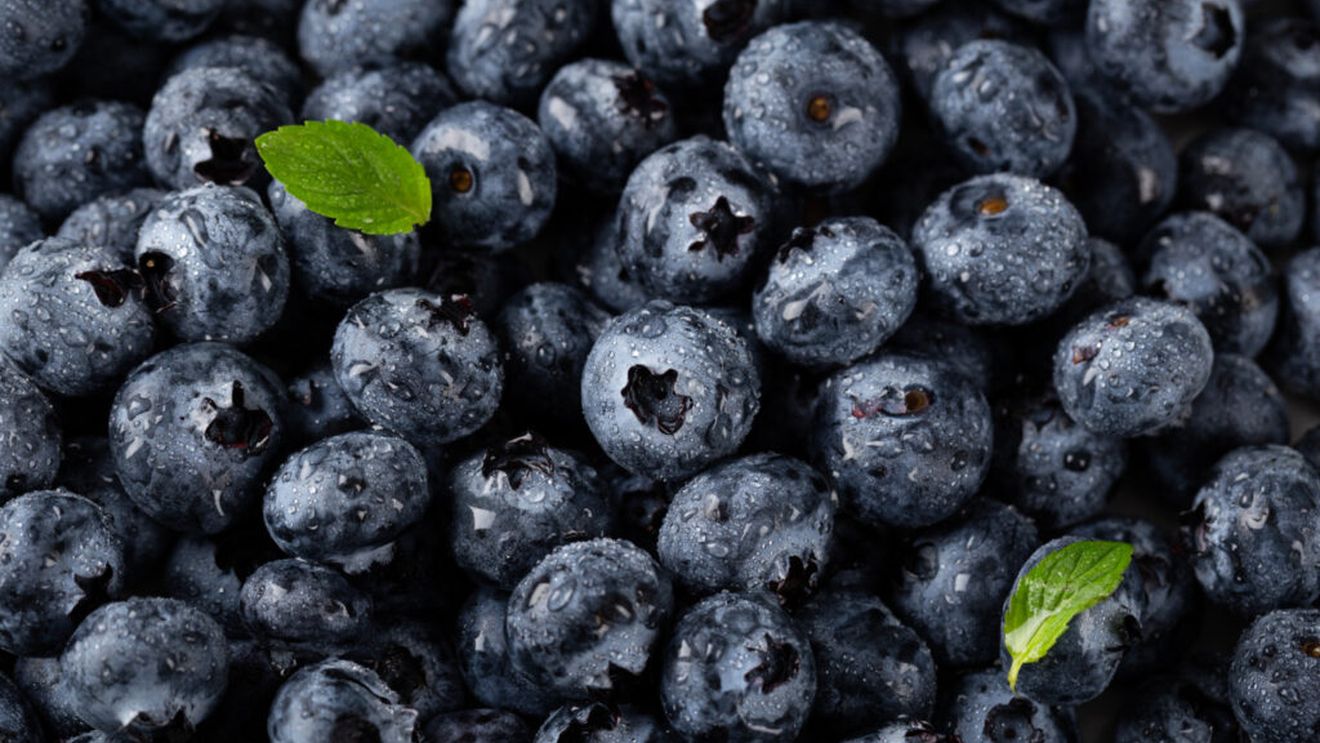 Industria afinelor, în expansiune globală / Politicile comerciale și presiunile de mediu vor testa adaptabilitatea sectorului / Organizația Internațională a Afinelor estimează o creștere susținută a pieței mondiale