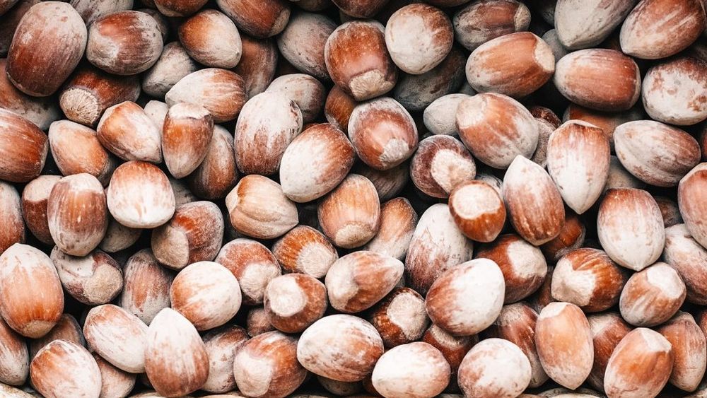 Un crescător de vaci din județul Cluj s-a apucat să cultive aluni; e aceasta o cultură profitabilă?