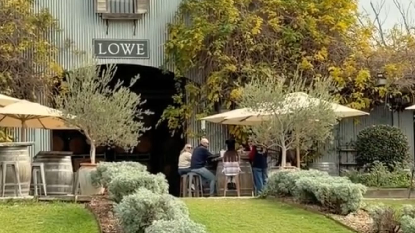 O cramă și-a transformat via într-o pădure comestibilă. Tot ce cultivă ajunge în meniul restaurantului / Cum funcționează conceptul farm-to-table