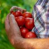 MADR pregătește noi reguli pentru agricultura ecologică: ce înseamnă pentru producători și consumatori