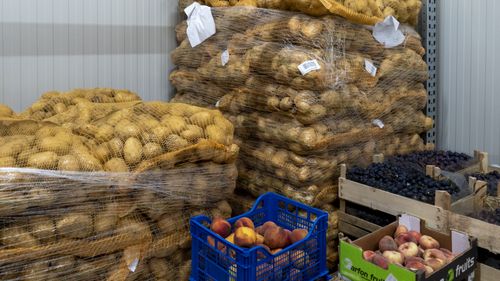 „Mâncarea este biodegradabilă, deci dacă o arunc la gunoi nu poluează” sau „La mine în casă nu prea se aruncă mâncare” / Patru MITURI despre risipa alimentară