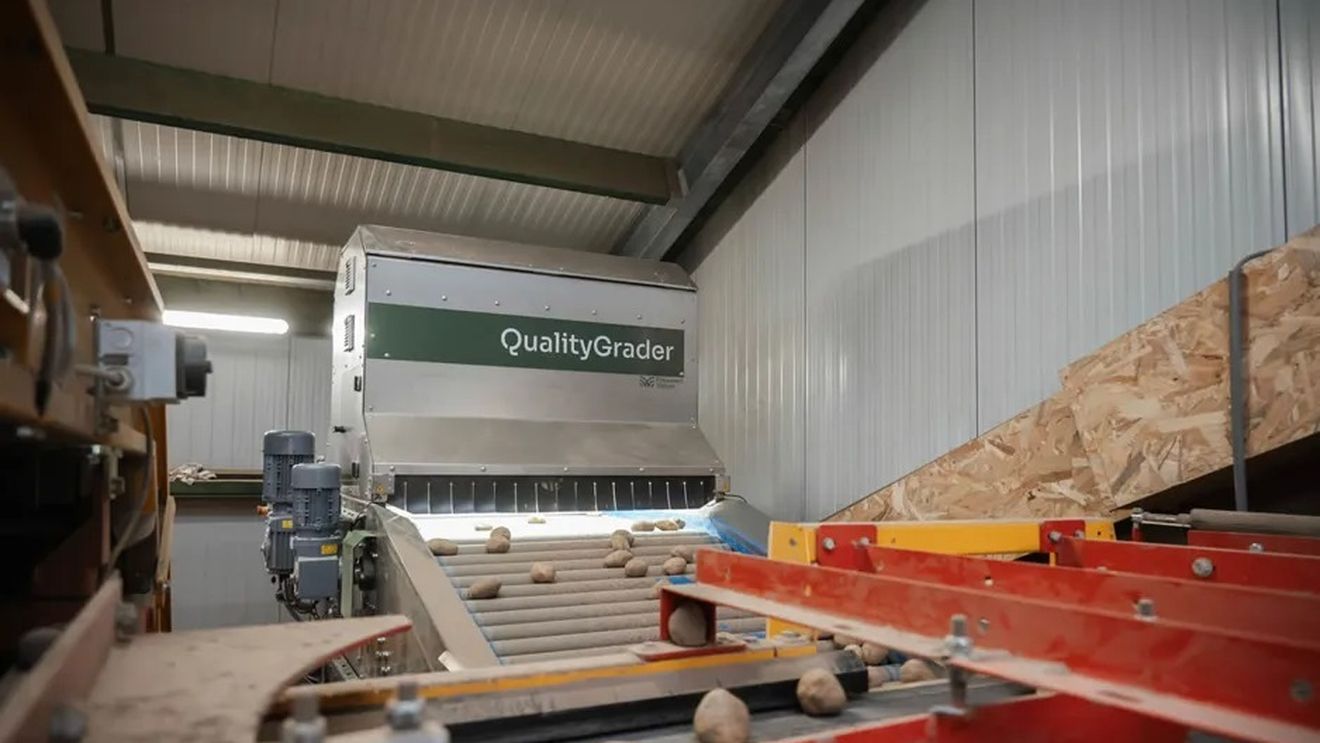 VIDEO O mașină gândită inițial pentru sortarea cartofilor de sămânță sortează acum și ceapa, datorită puterii de calcul mai mari