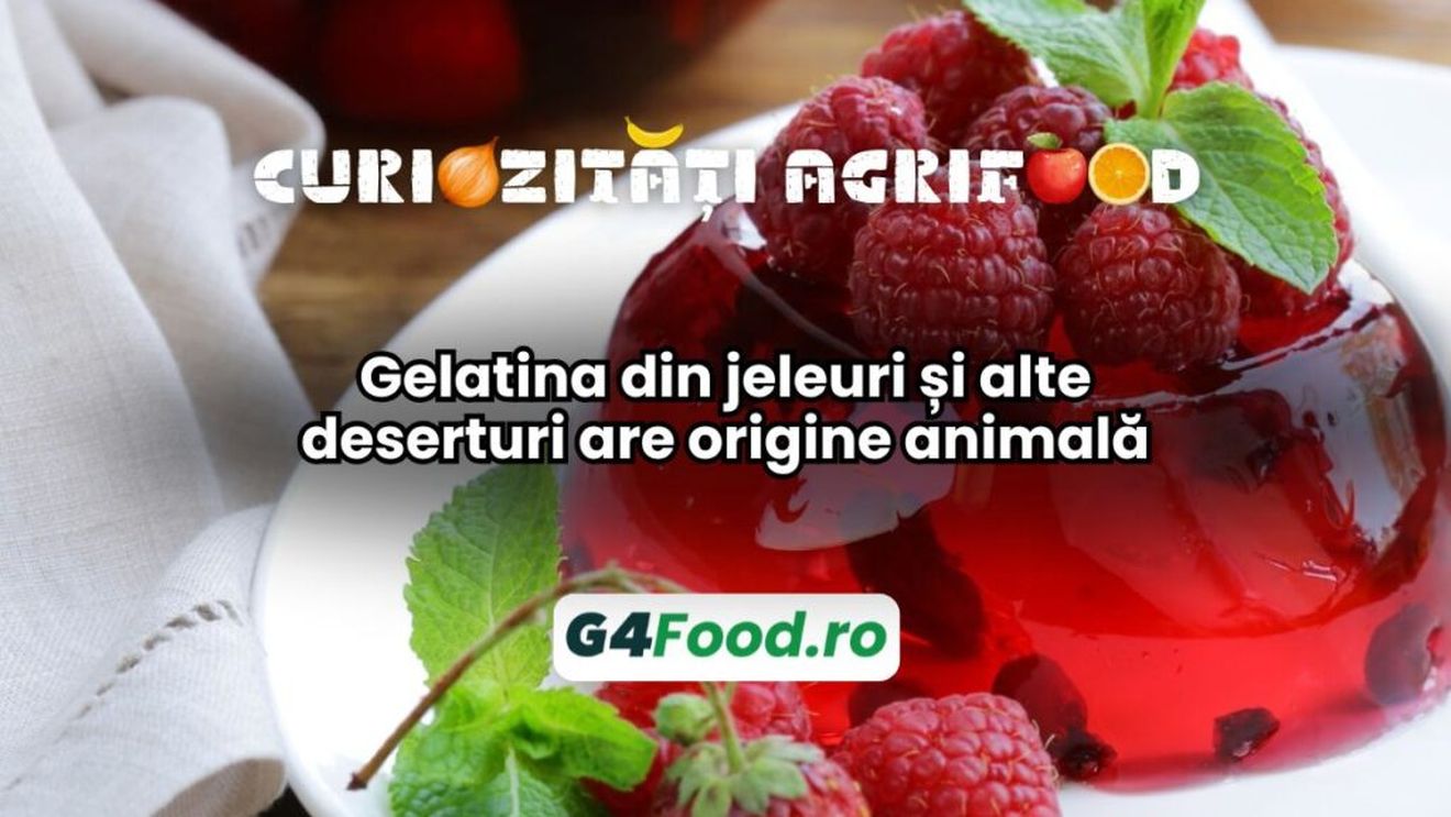 Curiozități agri-food 25 noiembrie: Gelatina din jeleuri și alte deserturi are origine animală