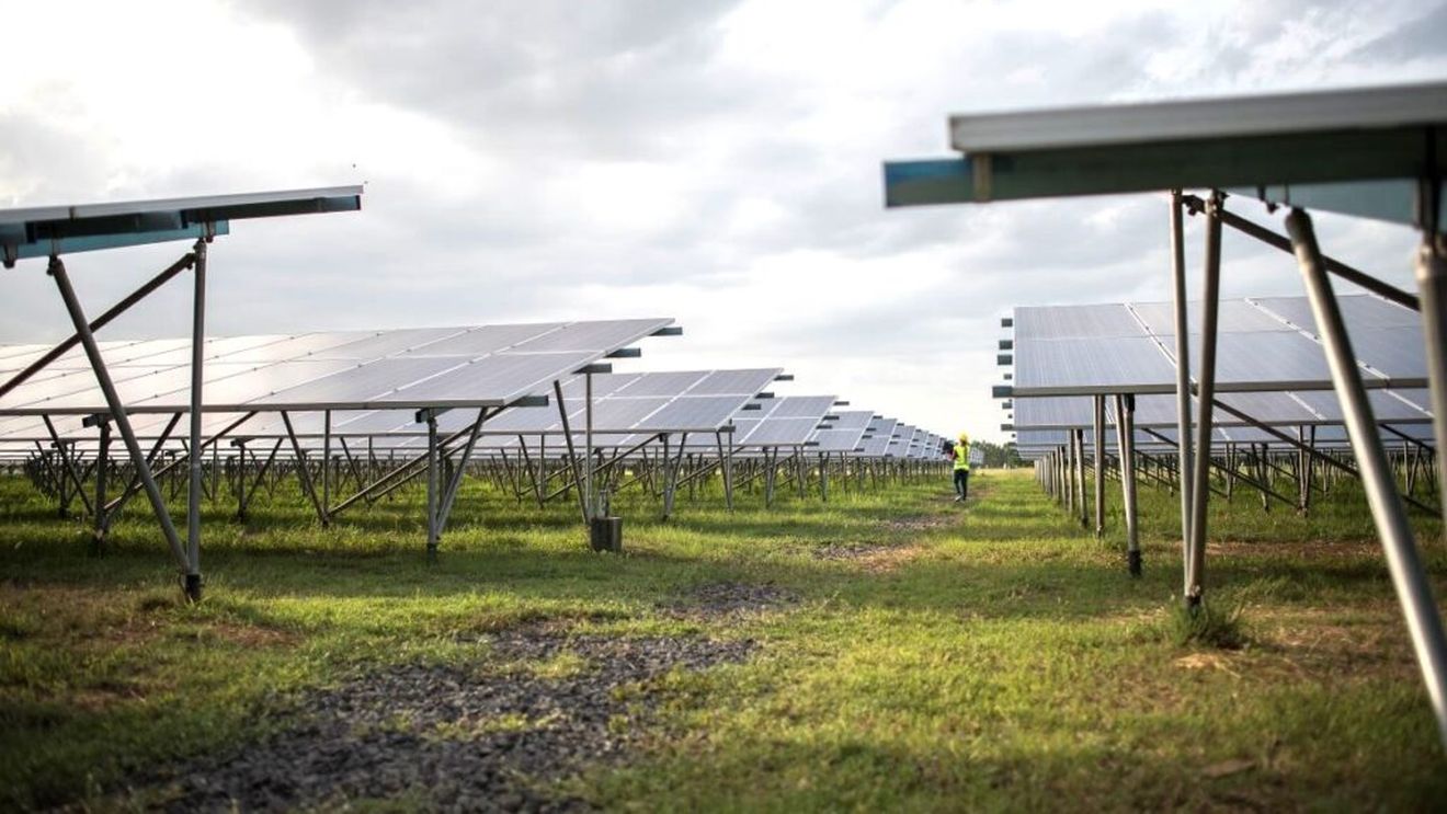 Primul parc agrofotovoltaic din Iași: investiție spaniolă pentru energie verde și agricultură sustenabilă