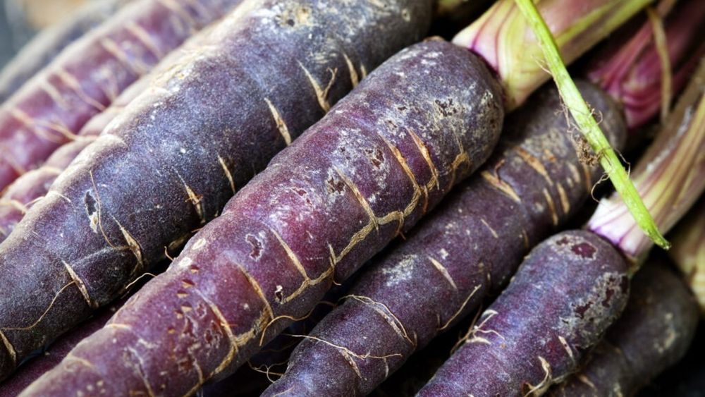 Fructe și legume modificate genetic, care acum sunt de nerecunoscut / Transformarea surprinzătoare a morcovilor, bananelor și a altor delicii de zi cu zi