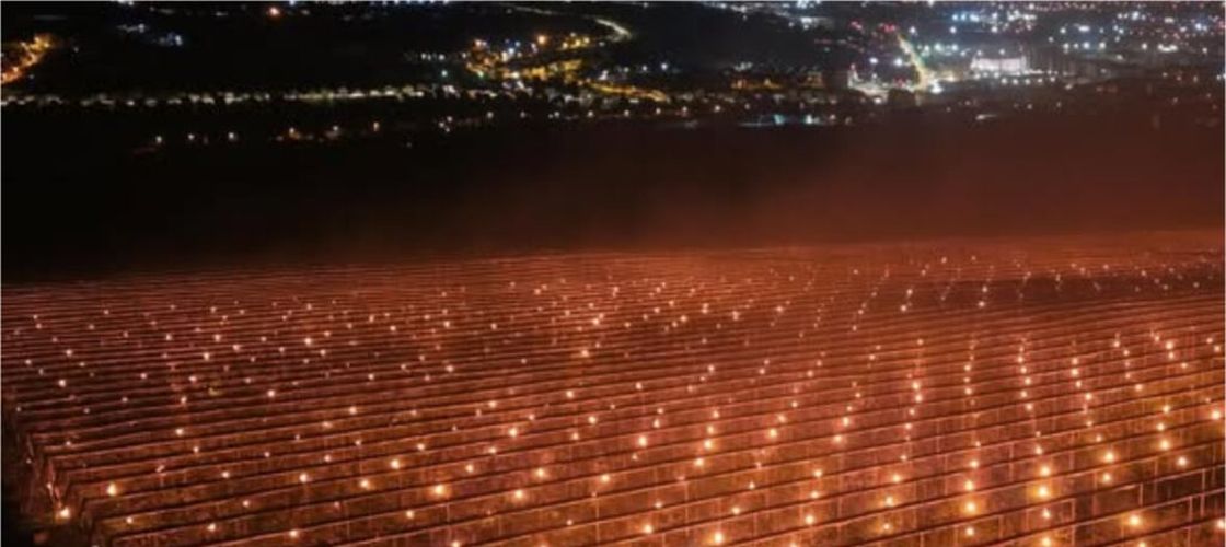 Cum și-a salvat o fermă recolta de cireșe, din calea înghețului/ „Azi noapte am dat foc la 40.000 de euro”