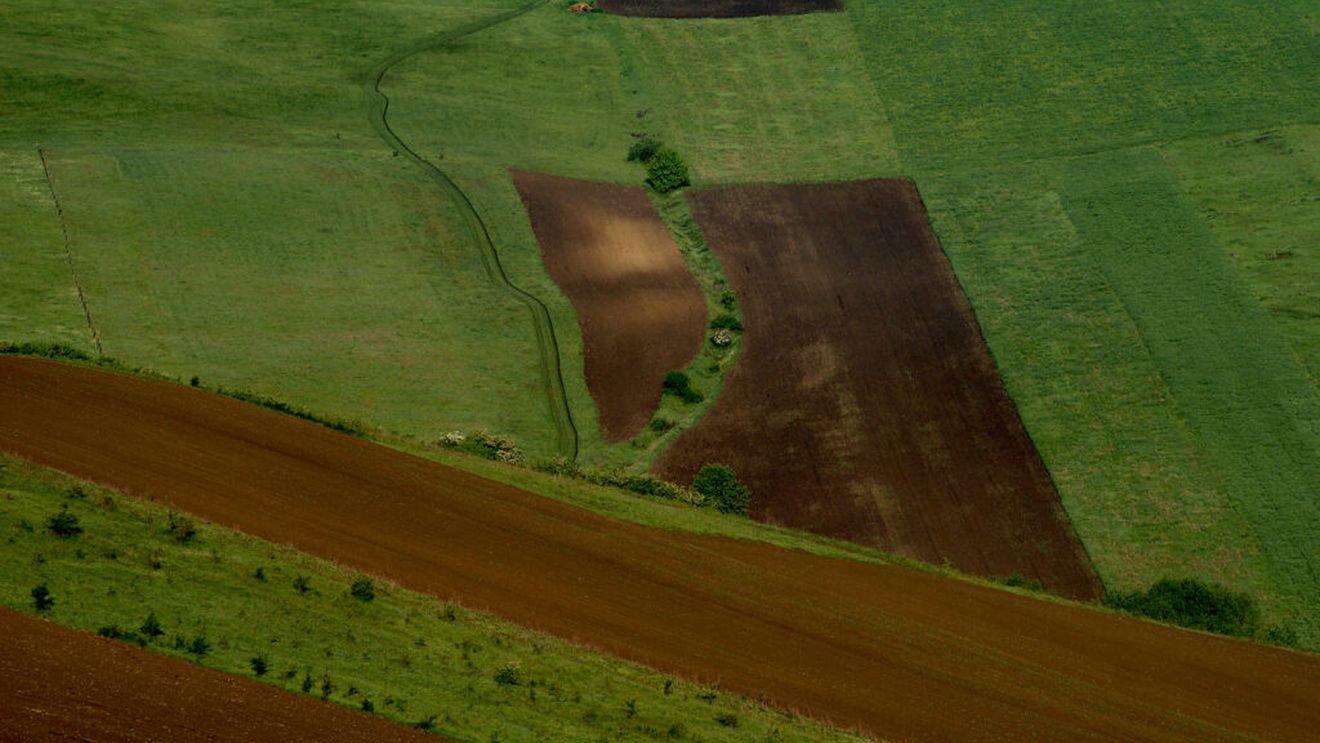Clujul, ocolit de secetă? Direcția Agricolă: „Zero hectare și zero fermieri cu pagube raportate”