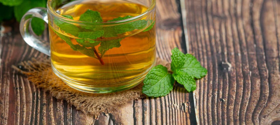 Menta creață, un ajutor nesperat pentru sănătate / De la îmbunătățirea digestiei la susținerea echilibrului hormonal, planta are mai multe beneficii