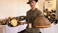 Peste 150 de specii de ciuperci, expuse la Sibiu / Printre ele, exemplare cu miros de vanilie și o specie documentată în premieră în România
