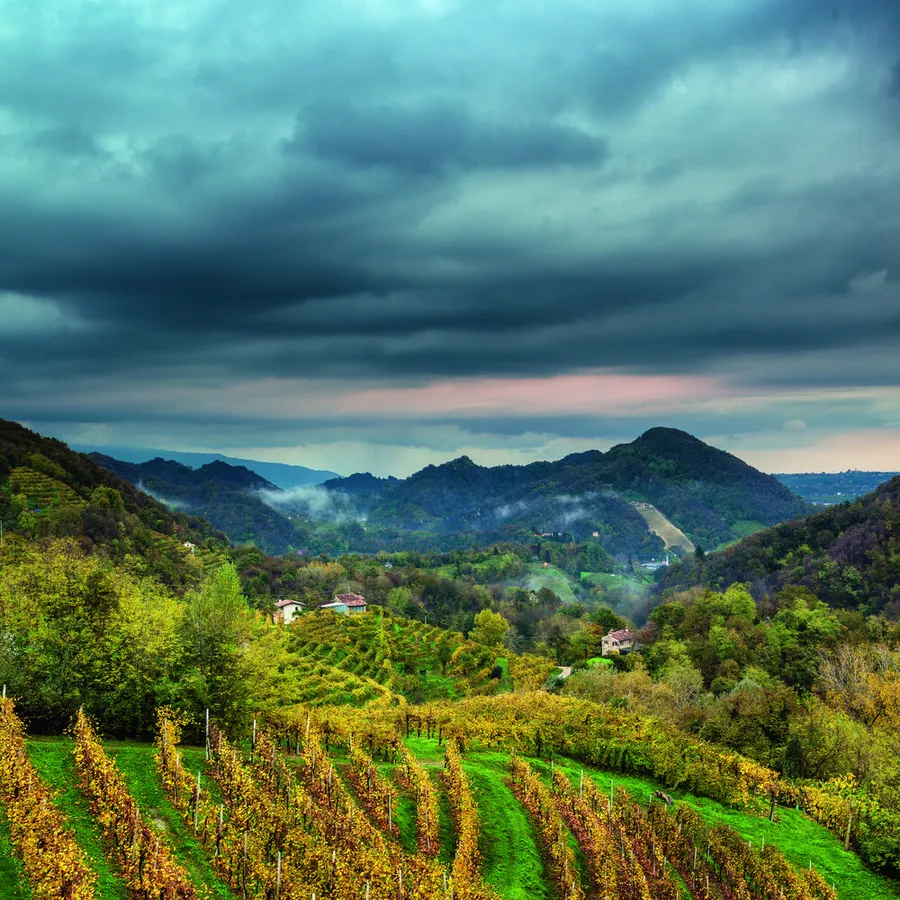 prosecco-superiore-conegliano-valdobbiadene-vinuri-spumante-vinuri-din-italia-prosecco-vinuri-premium-vinuri-artizanale-col-fondo-terroir-crame-din-italia