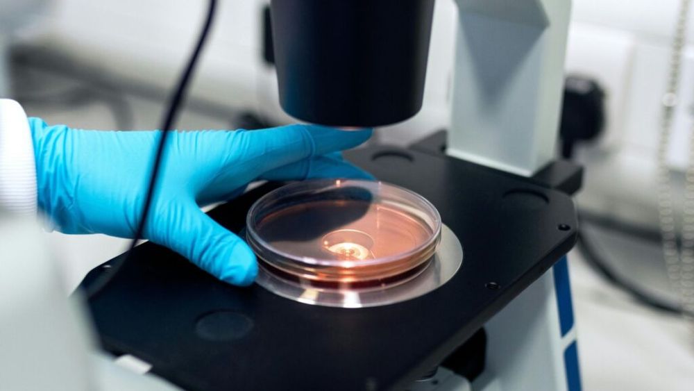 Alertă în SUA: Cel puțin 12 oameni au murit în contextul unei epidemii declanşate de infecţii cu Listeria asociate cu shake-uri care conţin suplimente alimentare