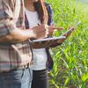 Programul RADAR: cercetătorii merg direct în ferme pentru a identifica problemele reale ale agricultorilor