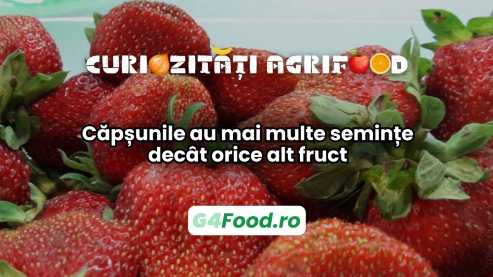 Curiozități agri-food 29 ianuarie: Căpșunile au mai multe semințe decât orice alt fruct