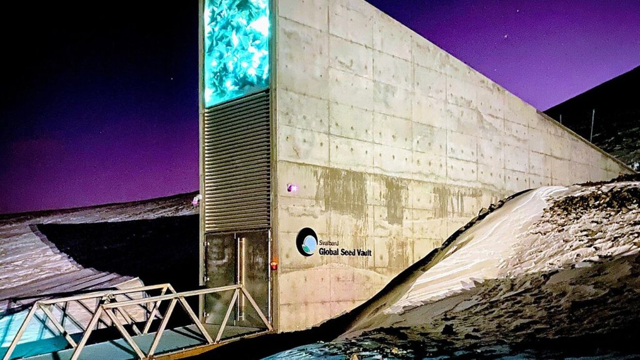 Oamenii de știință care au creat seiful gigantic de semințe de la cercul polar câștigă Premiul Mondial pentru Alimentație