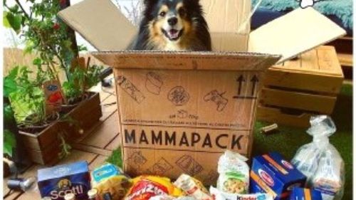 Mammapack, start up-ul italian înființat în 2019 care mizează pe nostalgia italienilor rezidenți în străinătate și le trimite „pachetul de acasă”. Un posibil model inspirațional pentru românii împrăștiați prin Europa