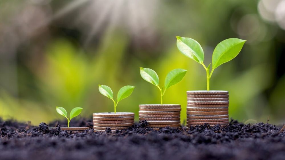 Agenţia pentru Finanţarea Investiţiilor Rurale primeşte cereri de finanţare pentru submăsura 17.1- Prime de asigurare a culturilor, a animalelor şi a plantelor, începând de joi