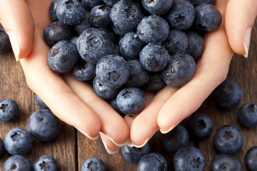 afine-fructe-de-sezon-afine-salbatice-cumparaturi-inteligente-nutritie-antioxidanti-fructe-de-vara-alimentatie-sanatoasa-sfaturi-cumparaturi-fructe-proaspete
