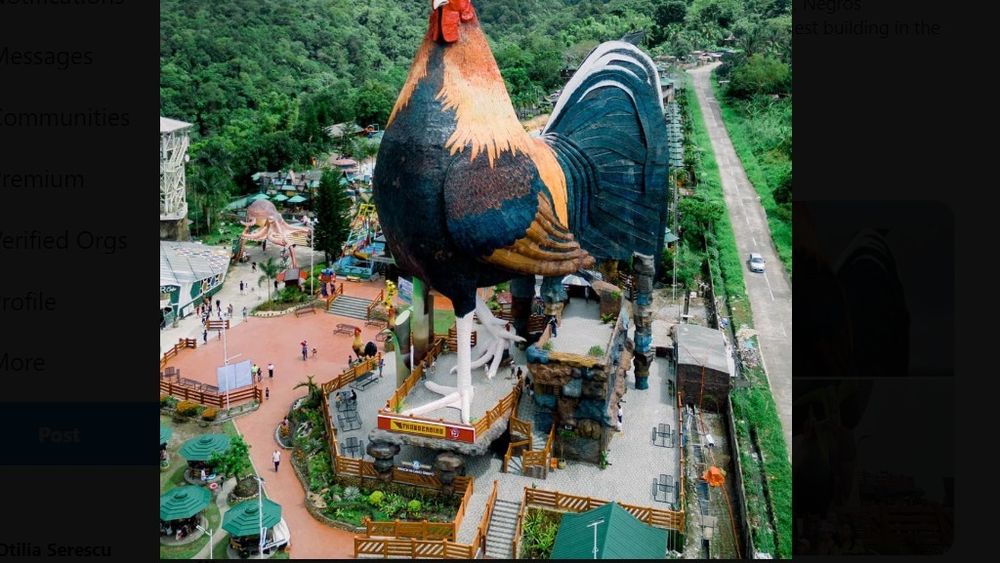Locul unde se află cel mai mare hotel din lume în formă cocoș. A intrat în Cartea Recordurilor / În zonă, există peste 2.000 de ferme de creștere a cocoșilor