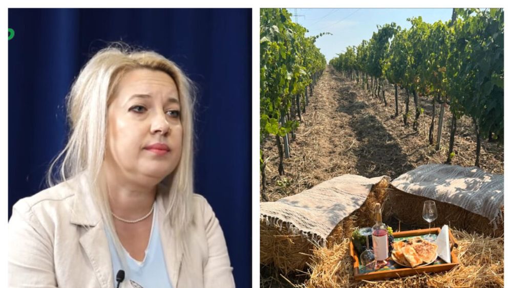 VIDEO | Oana Stan, marketing manager la Domeniul Bogdan, singura cramă din România care produce vinuri biodinamice: „Vinificăm după aceleași standarde științifice ca o cramă convențională”