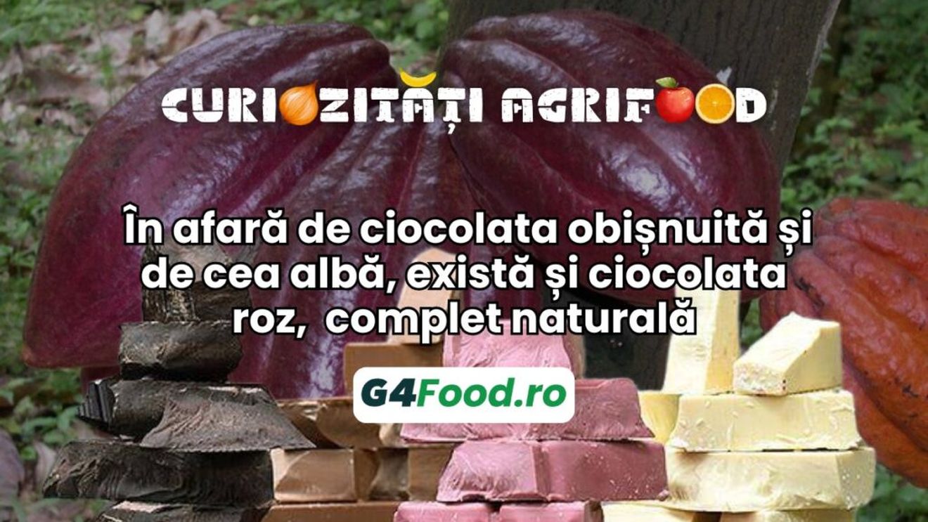 Curiozități agrifood 19 august 2024: În afară de ciocolata obișnuită și de cea albă, există și ciocolata roz,  complet naturală