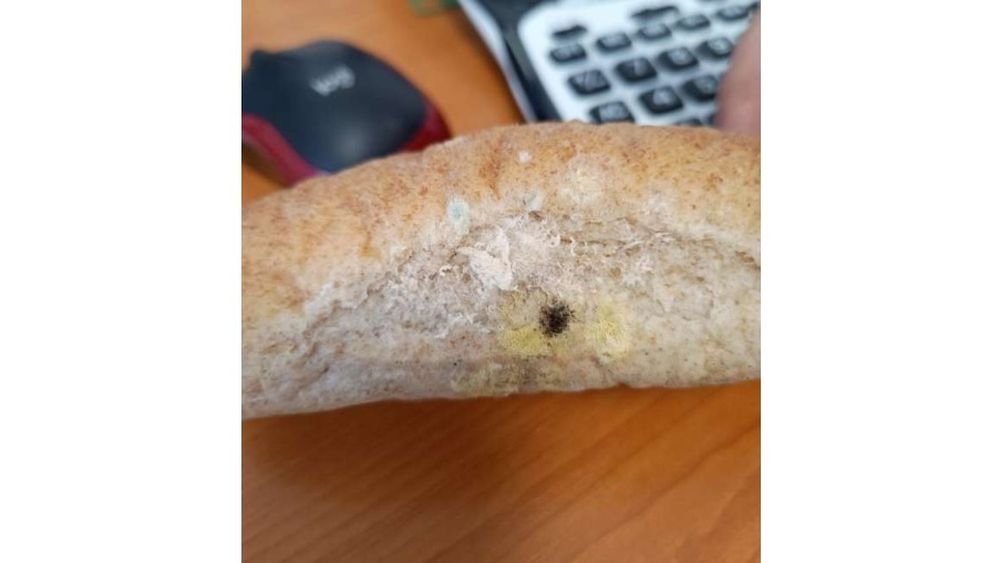 Satu Mare: Cornuri cu furnici şi biscuiţi cu mucegai pentru elevii de la mai multe şcoli