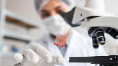 Hrana viitorului pentru animale / Carnea cultivată promite sustenabilitate și gust pe placul pisicilor