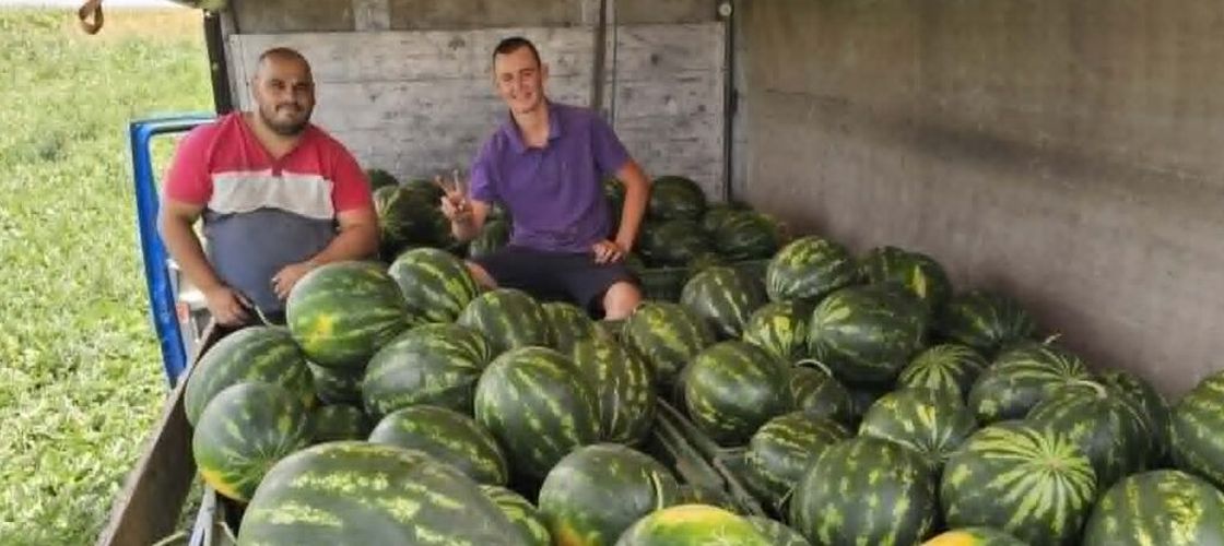 FOTO – VIDEO | Lubenița de Gottlob cucerește Londra. Primul TIR cu pepeni din celebrul brand bănățean a ajuns în magazinele românești din capitala Angliei