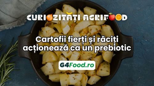 Curiozități agrifood - 6 august: Cartofii fierți și răciți sunt excelenți pentru sănătatea intestinului/Acționează ca un prebiotic
