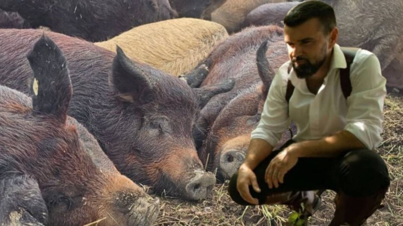 Fermier cu valoare adăugată | Drumul de la scenă la fermă. Cum s-a apucat tenorul Vlad Miriță să crească porci Mangalița și alte animale: „E un paradox: noi le creștem ca să le sacrificăm, dar în același timp ne place să le creștem bine, să fie fericite”