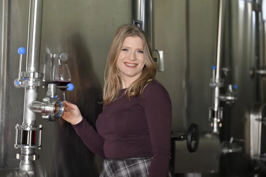 vin-Diana-Anghel-oenolog-Domeniile-Halep-vin-cu-personalitate-terroir-Dobrogea-vinificatie-recoltare-Merlot-Cabernet-Sauvignon-vin-romanesc-cultura-vinului-alegerea-vinului-servirea-vinului-seceta-vita-de-vie