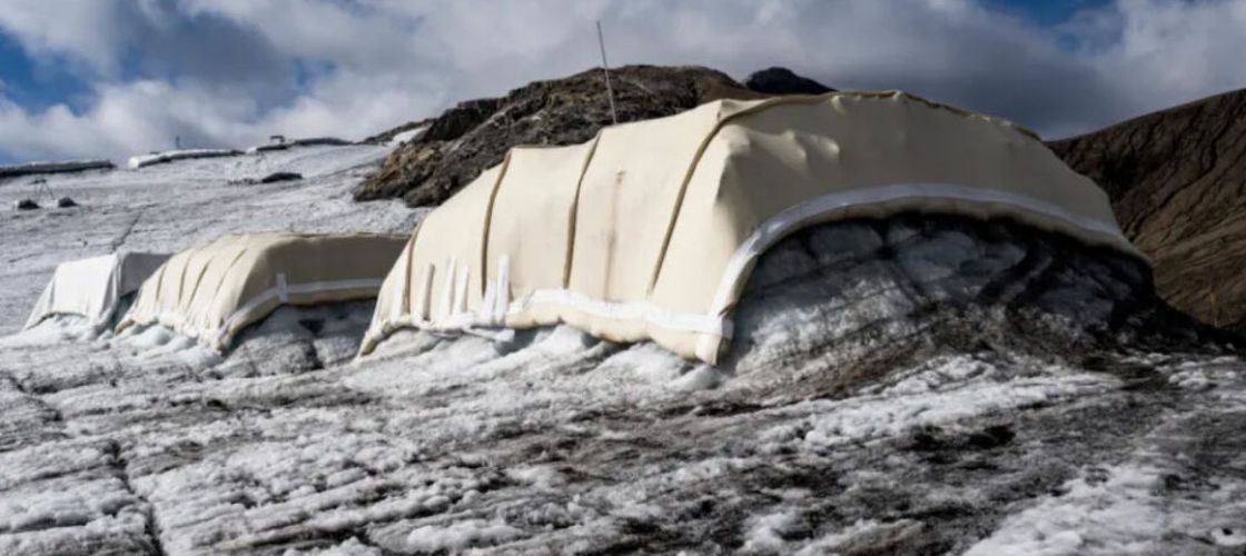 Lâna de oaie, arma ecologică a Elveției împotriva topirii ghețarilor. Experiment de succes în Alpi